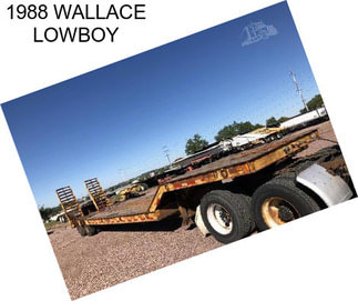 1988 WALLACE LOWBOY