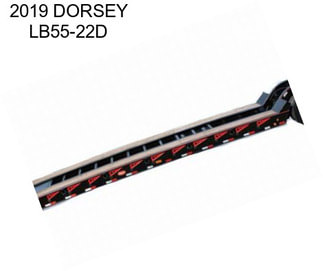 2019 DORSEY LB55-22D