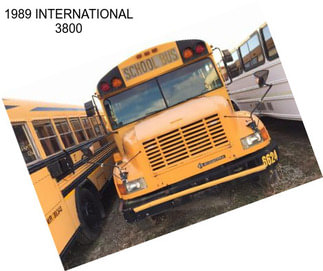 1989 INTERNATIONAL 3800