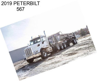 2019 PETERBILT 567