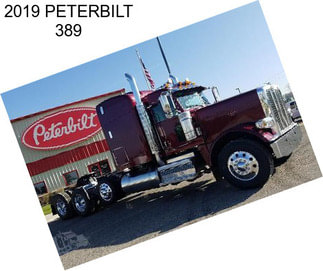 2019 PETERBILT 389