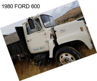 1980 FORD 600