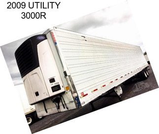 2009 UTILITY 3000R