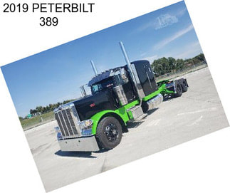 2019 PETERBILT 389