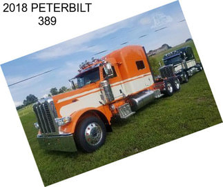 2018 PETERBILT 389