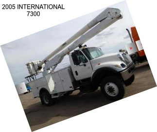 2005 INTERNATIONAL 7300