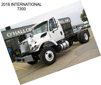 2018 INTERNATIONAL 7300