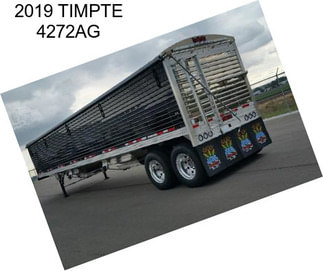 2019 TIMPTE 4272AG