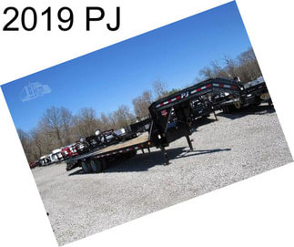 2019 PJ