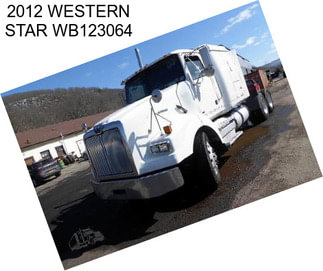 2012 WESTERN STAR WB123064