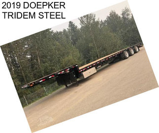 2019 DOEPKER TRIDEM STEEL