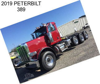 2019 PETERBILT 389