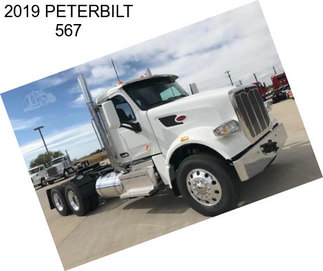 2019 PETERBILT 567