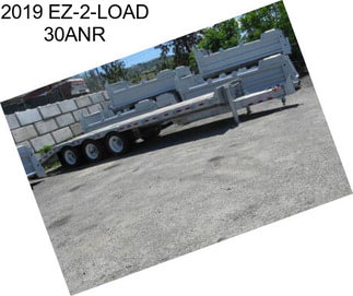 2019 EZ-2-LOAD 30ANR