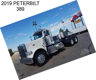 2019 PETERBILT 389