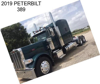 2019 PETERBILT 389