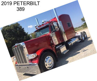 2019 PETERBILT 389