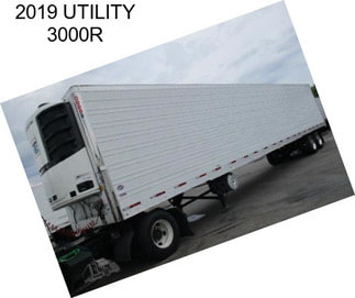 2019 UTILITY 3000R