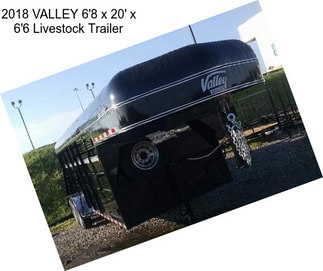 2018 VALLEY 6\'8\