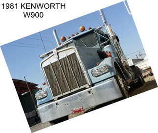 1981 KENWORTH W900