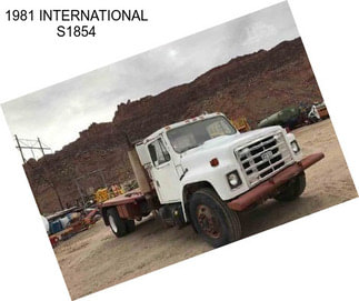 1981 INTERNATIONAL S1854