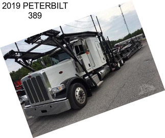 2019 PETERBILT 389