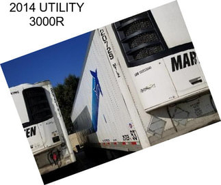 2014 UTILITY 3000R