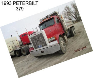 1993 PETERBILT 379