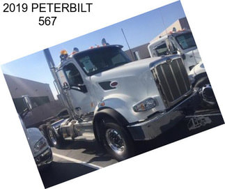 2019 PETERBILT 567