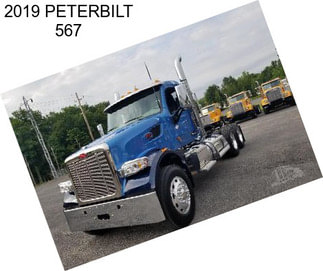 2019 PETERBILT 567