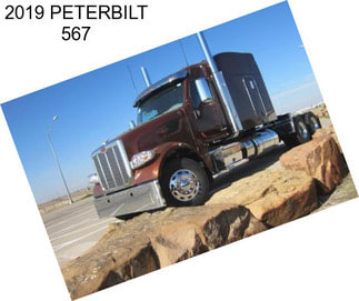 2019 PETERBILT 567