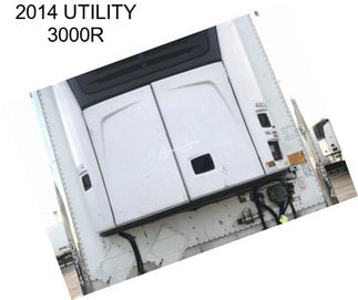 2014 UTILITY 3000R