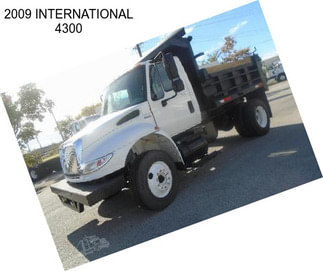 2009 INTERNATIONAL 4300