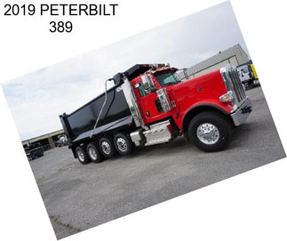 2019 PETERBILT 389