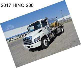 2017 HINO 238