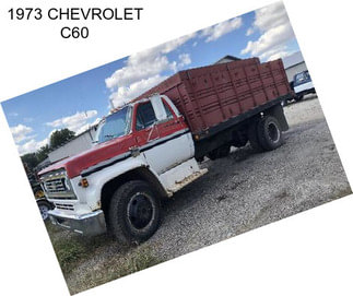 1973 CHEVROLET C60