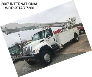 2007 INTERNATIONAL WORKSTAR 7300