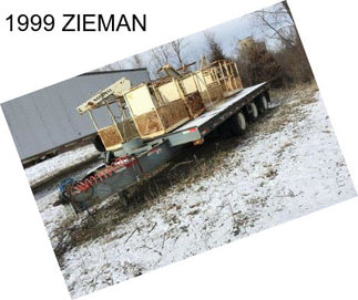 1999 ZIEMAN