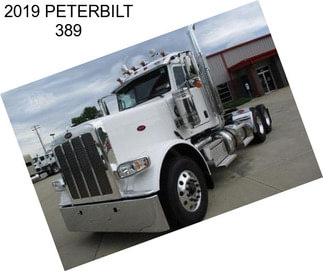 2019 PETERBILT 389