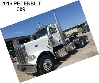 2019 PETERBILT 389