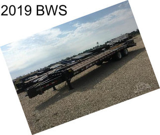 2019 BWS