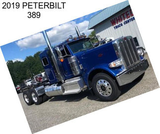 2019 PETERBILT 389