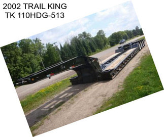 2002 TRAIL KING TK 110HDG-513