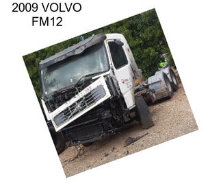 2009 VOLVO FM12