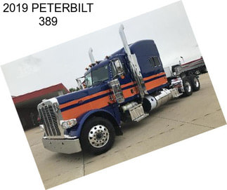 2019 PETERBILT 389