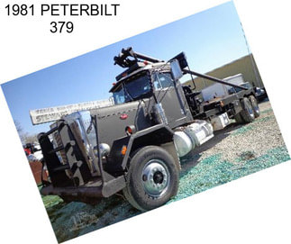 1981 PETERBILT 379