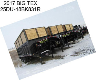 2017 BIG TEX 25DU-18BK831R