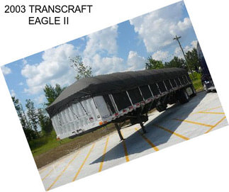 2003 TRANSCRAFT EAGLE II