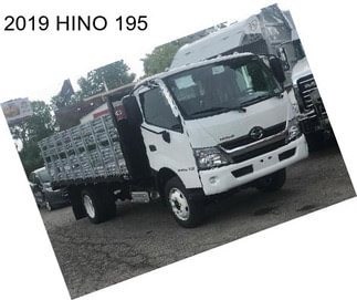 2019 HINO 195