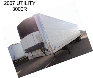 2007 UTILITY 3000R